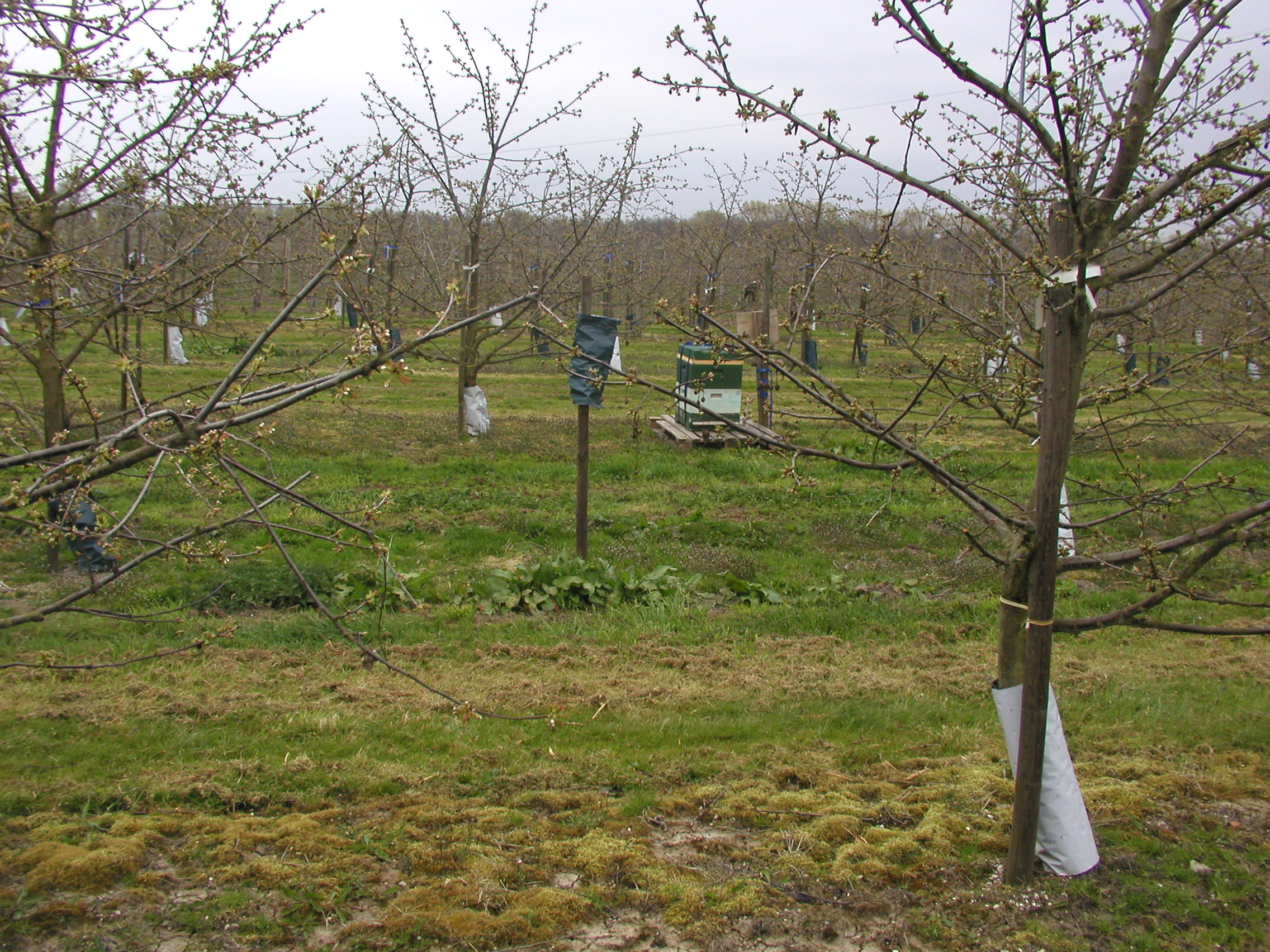 Bild 121